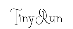 TinyRun - logo
